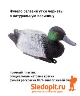 Чучело утки чернеть селезень DUCK MAGNIT