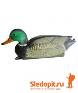 Чучело селезня кряквы Birdland