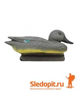 Чучело утка чирок-свистунок
